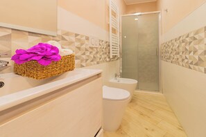 Shower, hair dryer, bidet, towels