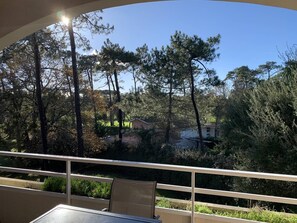 Property grounds - Fade 119 (MOLIETS ET MAA)