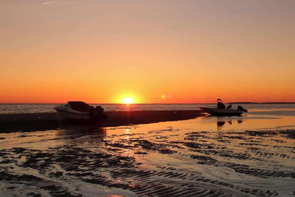 Nära stranden