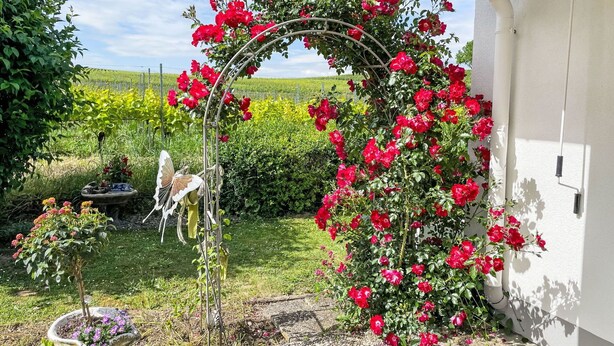 A garden with a metal archway covered in red flowers, a butterfly sculpture, and a small pond with purple flowers.