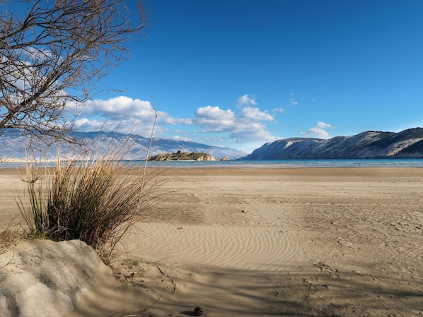 A beach with a clear sky, mountains in the background, and sparse vegetation.