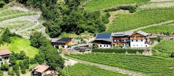 Winery Hofer Hof - APP. Veltliner