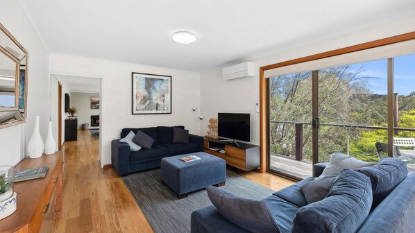 Smart-TV, Kamin