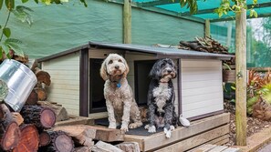 المنطقة المحيطة بالمنشأة