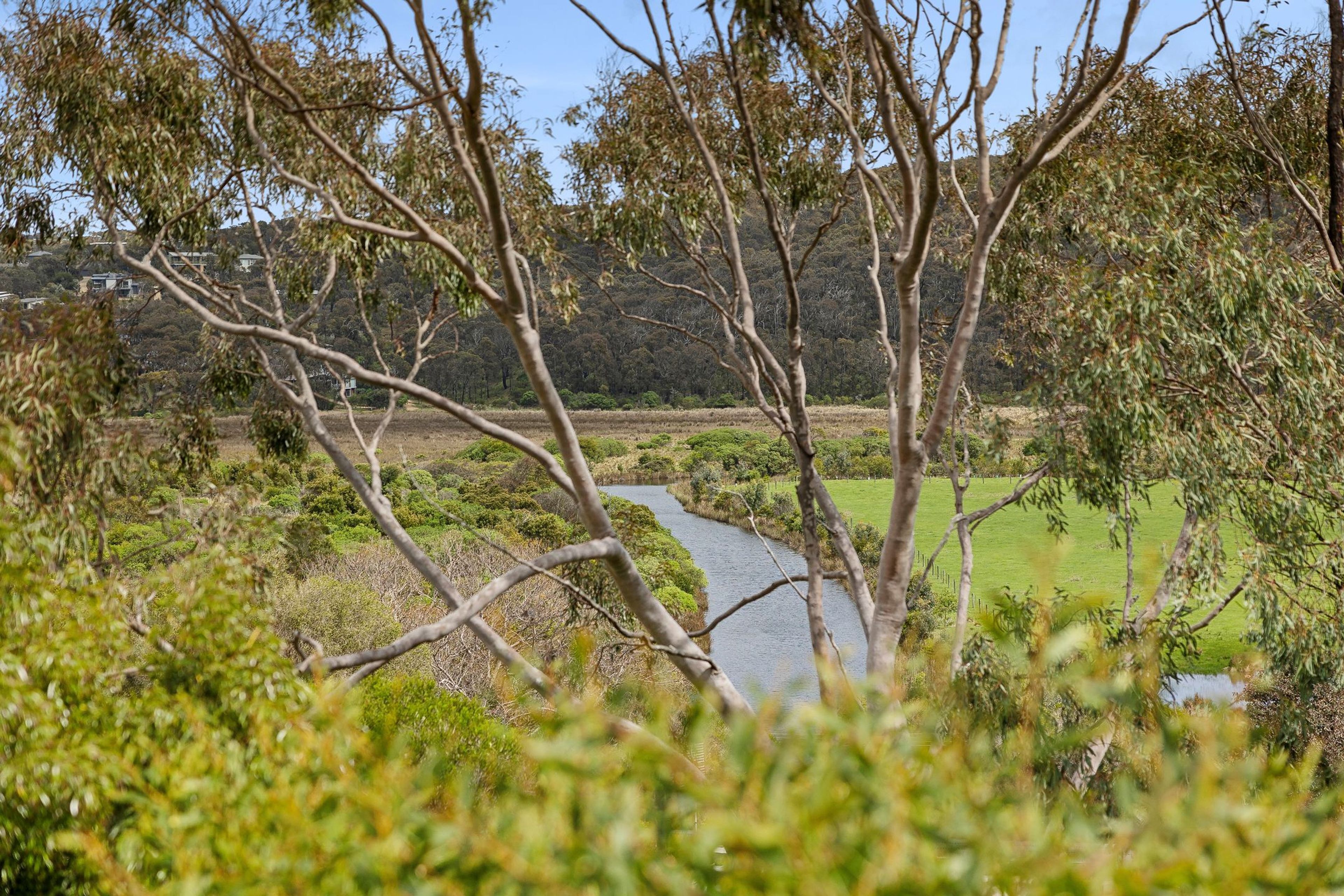 A river flowing through a natural landscape with trees and a distant view of houses.