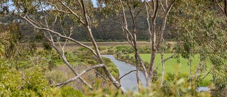 A river flowing through a natural landscape with trees and a distant view of houses.