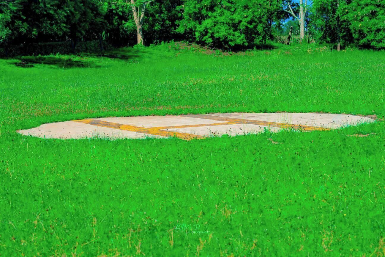 Un diamante de béisbol en un campo cubierto de hierba, con árboles al fondo.