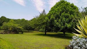 A lush green landscape with a variety of trees and a well-maintained grassy area.