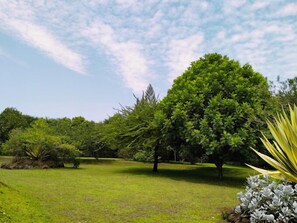 Garden - Lee Njiru Resort (Nakuru)