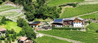 Winery Hofer Hof App.Sylvaner with pinewood sauna