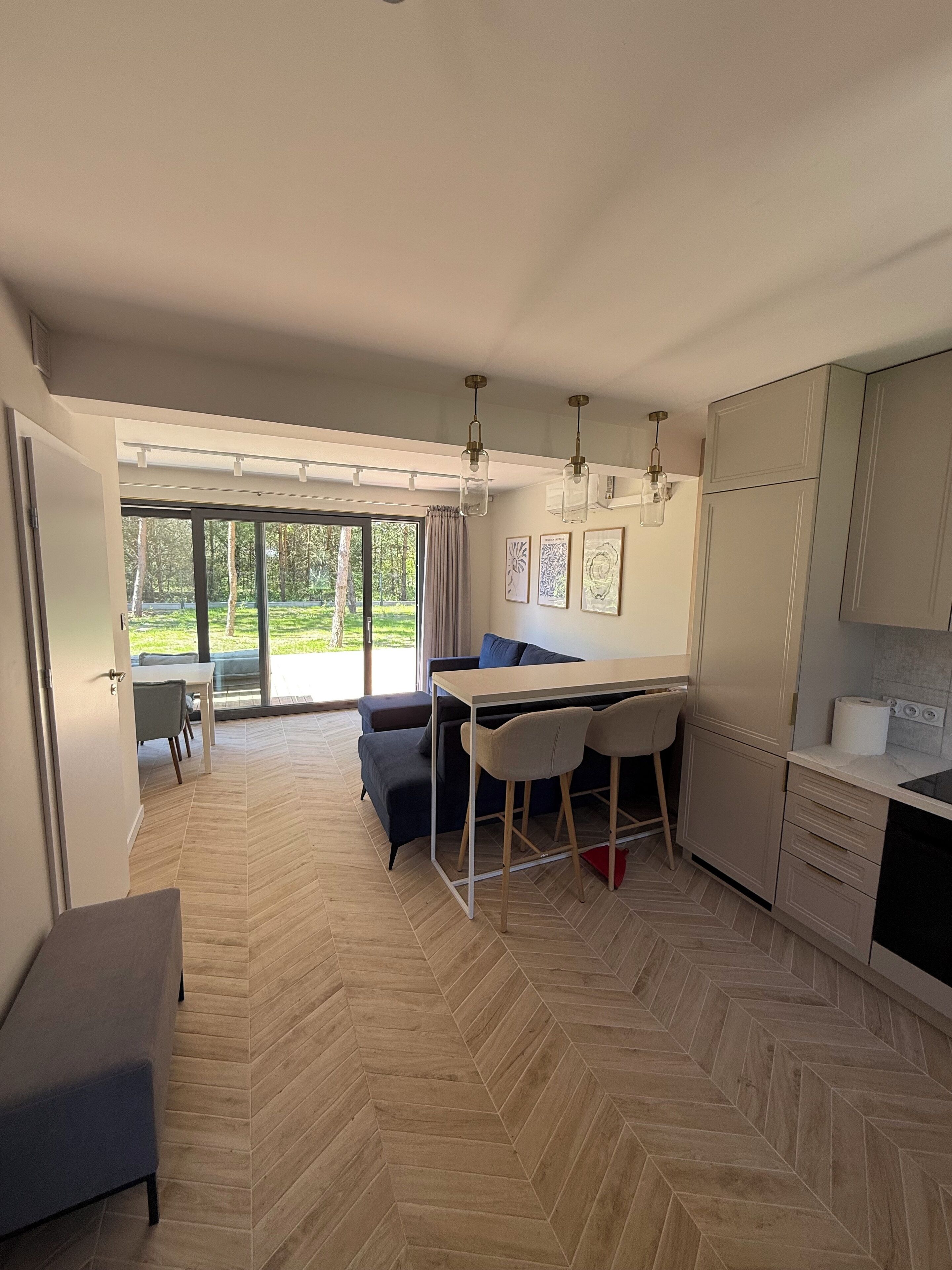 Smart-TV, Kamin