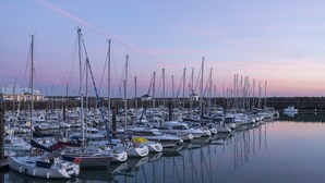 A marina with numerous boats docked in calm waters.