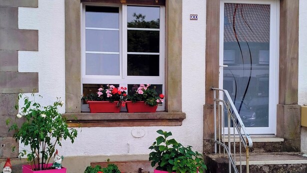 A building with a tiled roof, a window with a white frame, and a door with a glass panel. There are potted plants on the ground level.