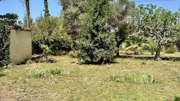 Villa, 5 habitaciones, alberca privada, vista al jardín | Áreas de la propiedad