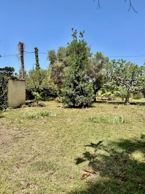 Villa, 5 Bedrooms, Private Pool, Garden View | Property grounds