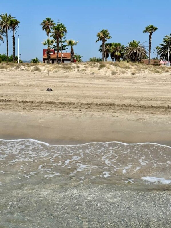 Playa