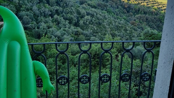 Ein Balkon mit Metallgeländer, der auf eine üppige, grüne Landschaft mit Bäumen und Hügeln im Hintergrund blickt.