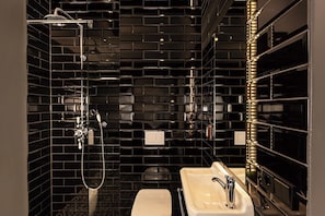 Shower, hair dryer, towels