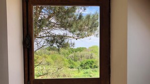 Una porta di legno con una finestra, che dà su una vista di vegetazione e alberi.