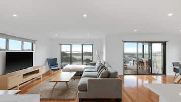 Televisio, takka, pöytätennispöytä, kirjoja