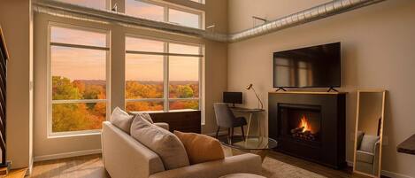 TV, fireplace, offices