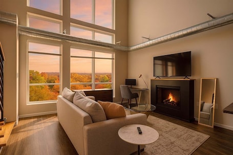 TV, fireplace, offices. Forest Park Skyline Retreat with Balcony, Pool & Parking