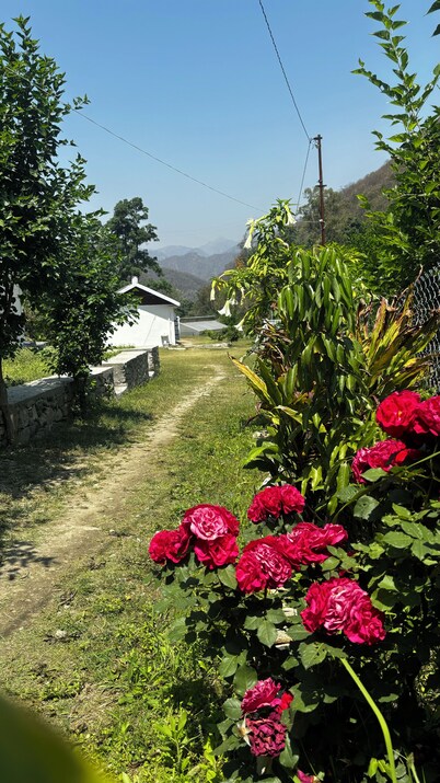 Geeta Ji - Forest Retreat