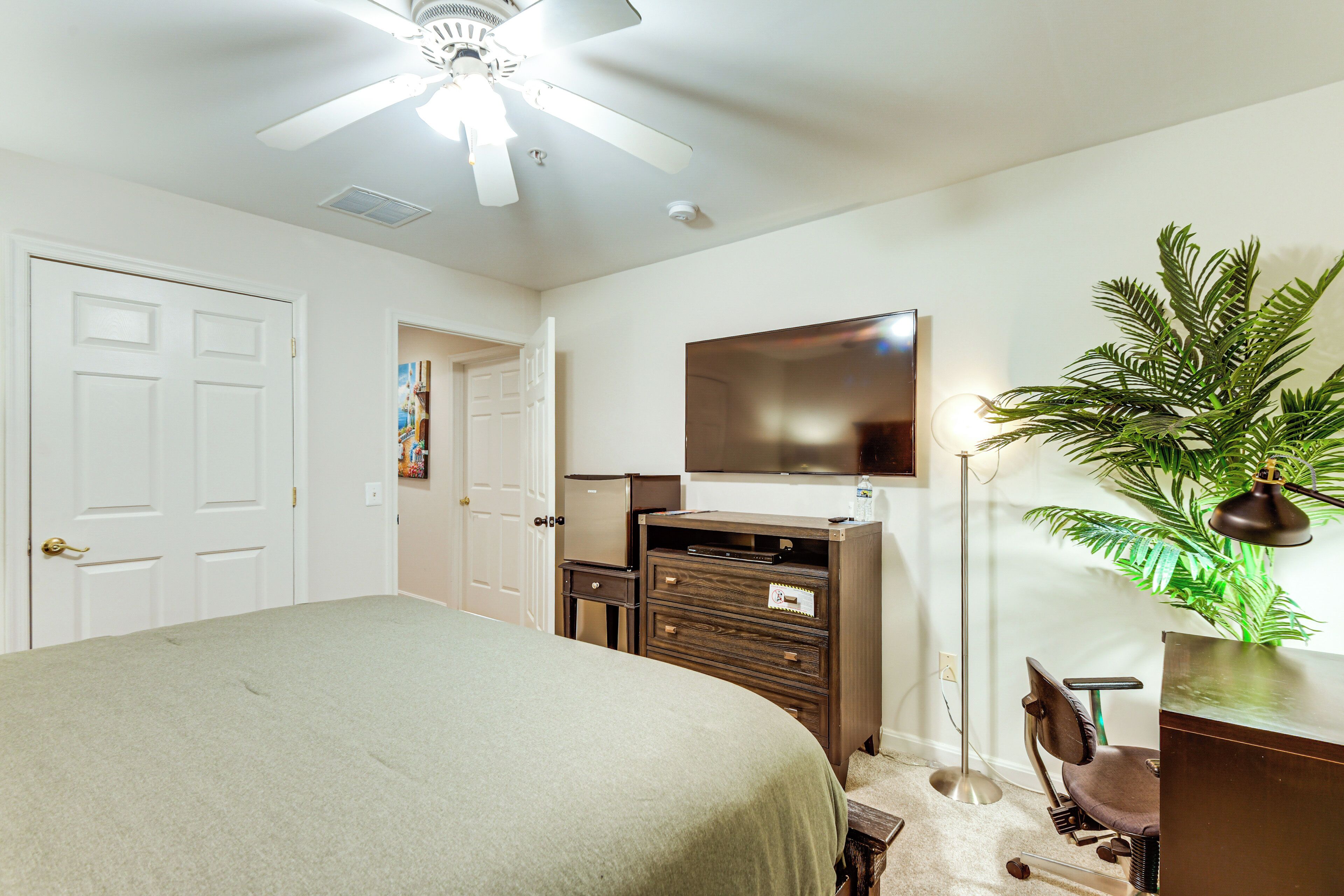A bedroom with a bed, dresser, desk, chair, TV, ceiling fan, and a plant.