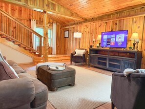 Smart TV, fireplace, books