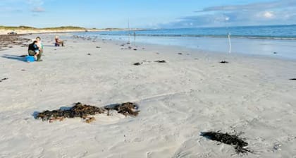 Your Beach Holiday Awaits.