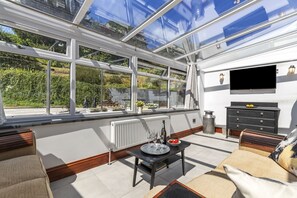 تلفزيون ذكي