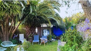 Un jardín con una palmera, sillas y un muro azul.