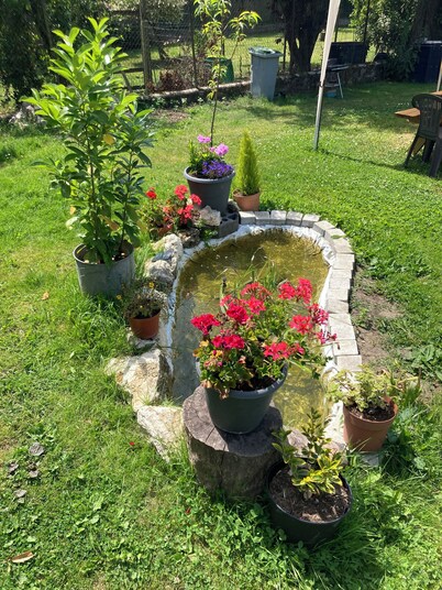 Country house with garden and swimming pool