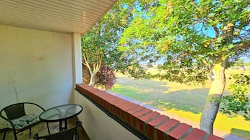 Deluxe Apartment | Balcony