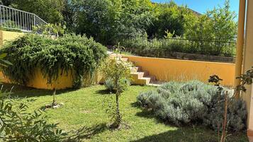 Studio, pemandangan kebun, area taman | Taman