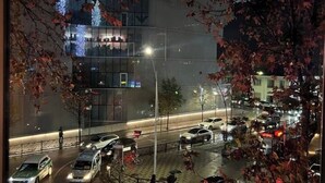 Vista nocturna de una calle con coches y un paso de peatones.