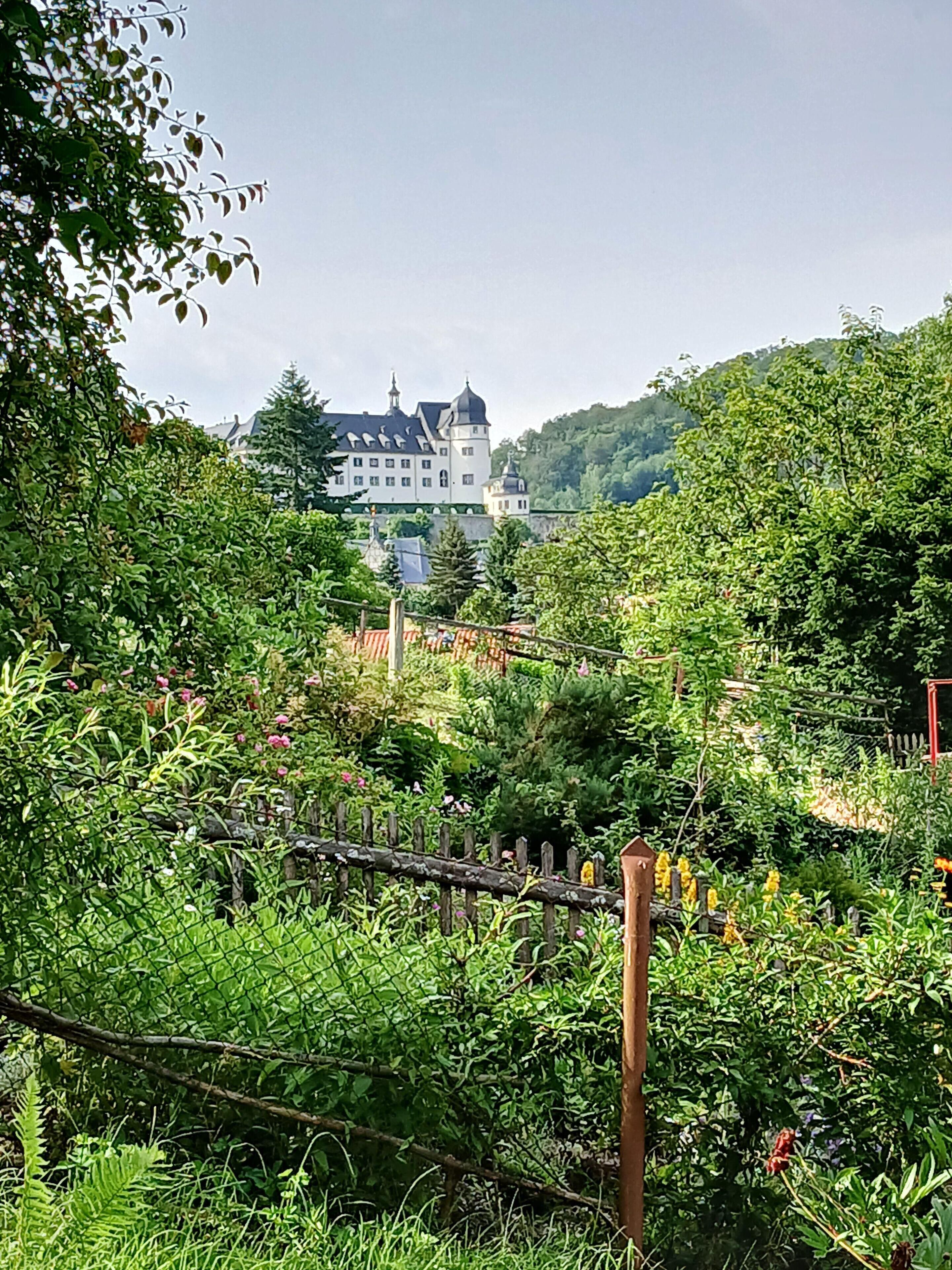 Schlossblick aus Garten