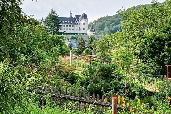 Schlossblick aus Garten