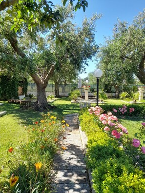 Terrein van de accommodatie