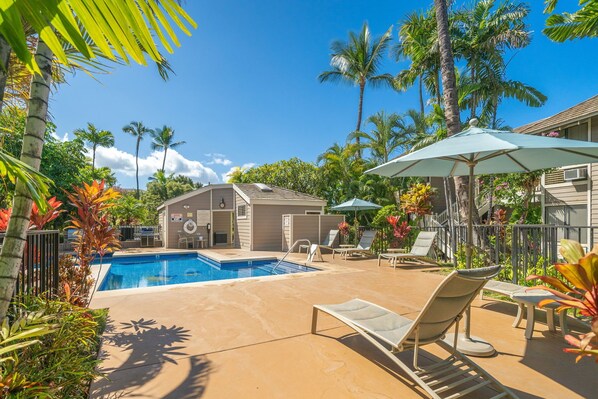 A swimming pool with lounge chairs and umbrellas, surrounded by palm trees and a building with a covered patio.