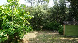 A backyard with a green shed, a tree, and dense foliage. - Sam’s cottage, a peaceful Provencal Retreat, minutes from famous Thoronet Abbey. (Le Thoronet)
