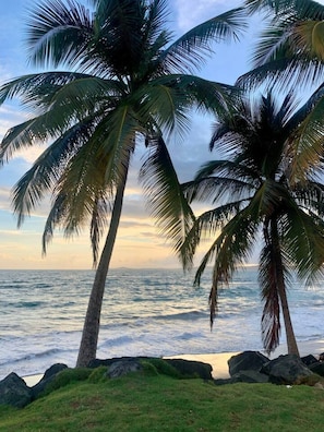 A beach with palm trees and ocean waves.