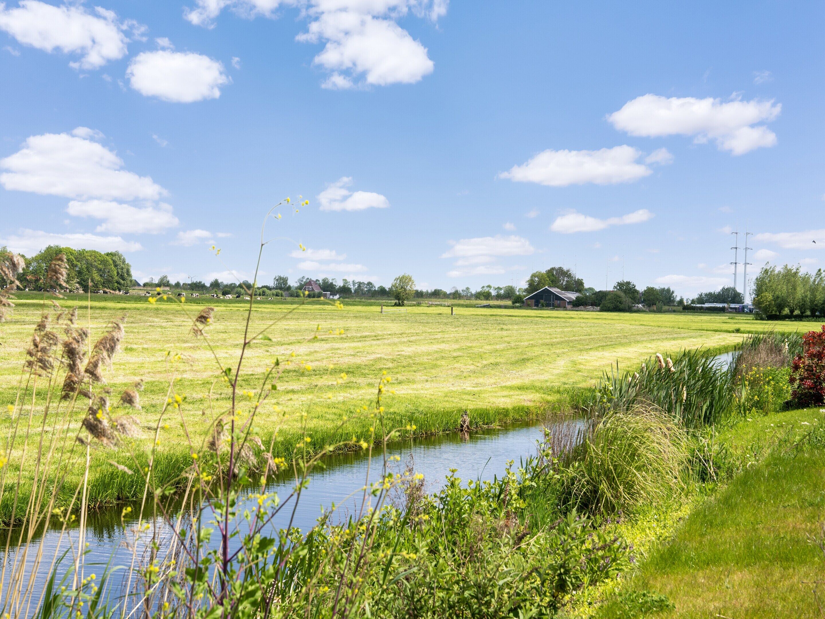 A rural landscape with a field, a small stream, and a barn in the distance.