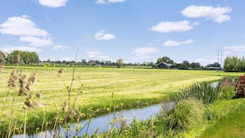 A rural landscape with a field, a small stream, and a barn in the distance.