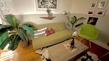 Smart TV, DVD player, books