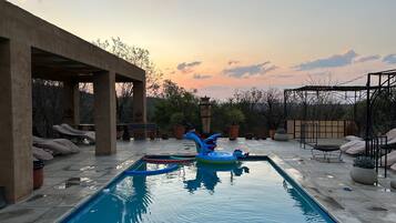 A swimming pool with a blue inflatable toy, surrounded by potted plants and outdoor seating.