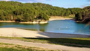 A lake surrounded by dense forest, a sandy beach, and a clear sky.