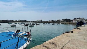 Un port où de nombreux bateaux sont amarrés, un ciel dégagé et des bâtiments en arrière-plan.