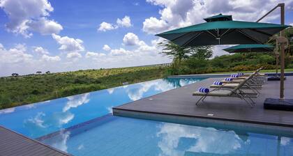 Esidai by Camp David