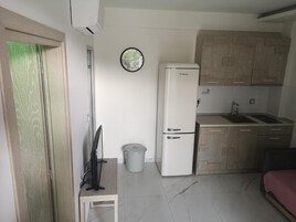 Una cocina compacta con refrigerador, pileta y armarios de madera.